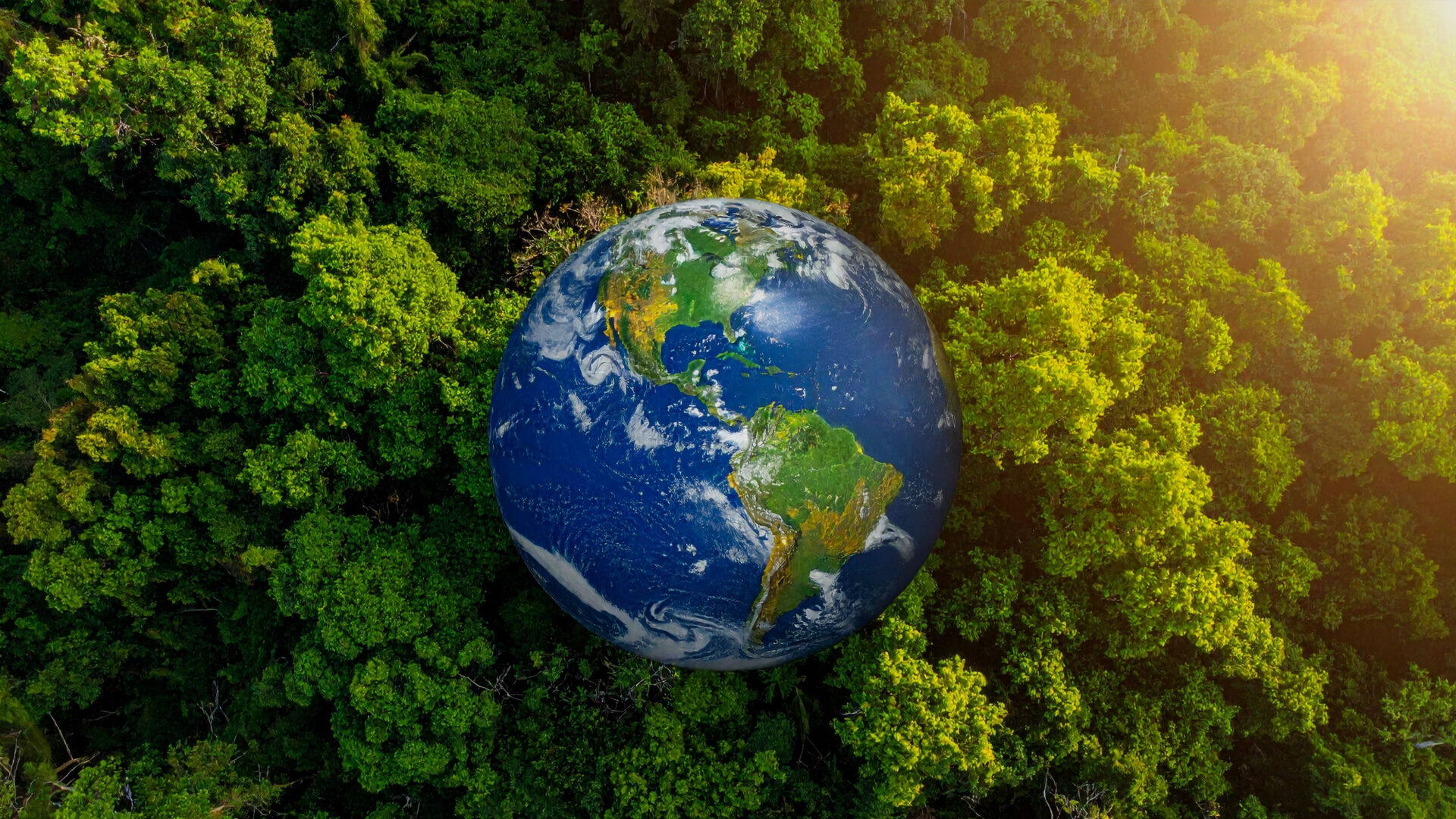 第二轮省生态情形<br>；；；；；；；；ざ讲